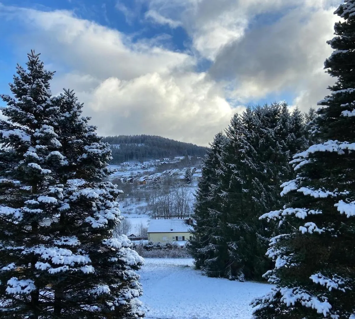 Elsa'S Waldnest-Naehe Fichtelsee Warmensteinach Apartment