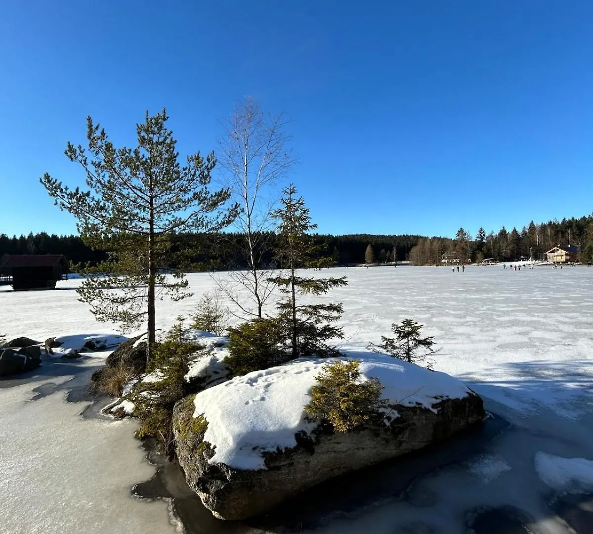 Elsa'S Waldnest-Naehe Fichtelsee Warmensteinach Daire