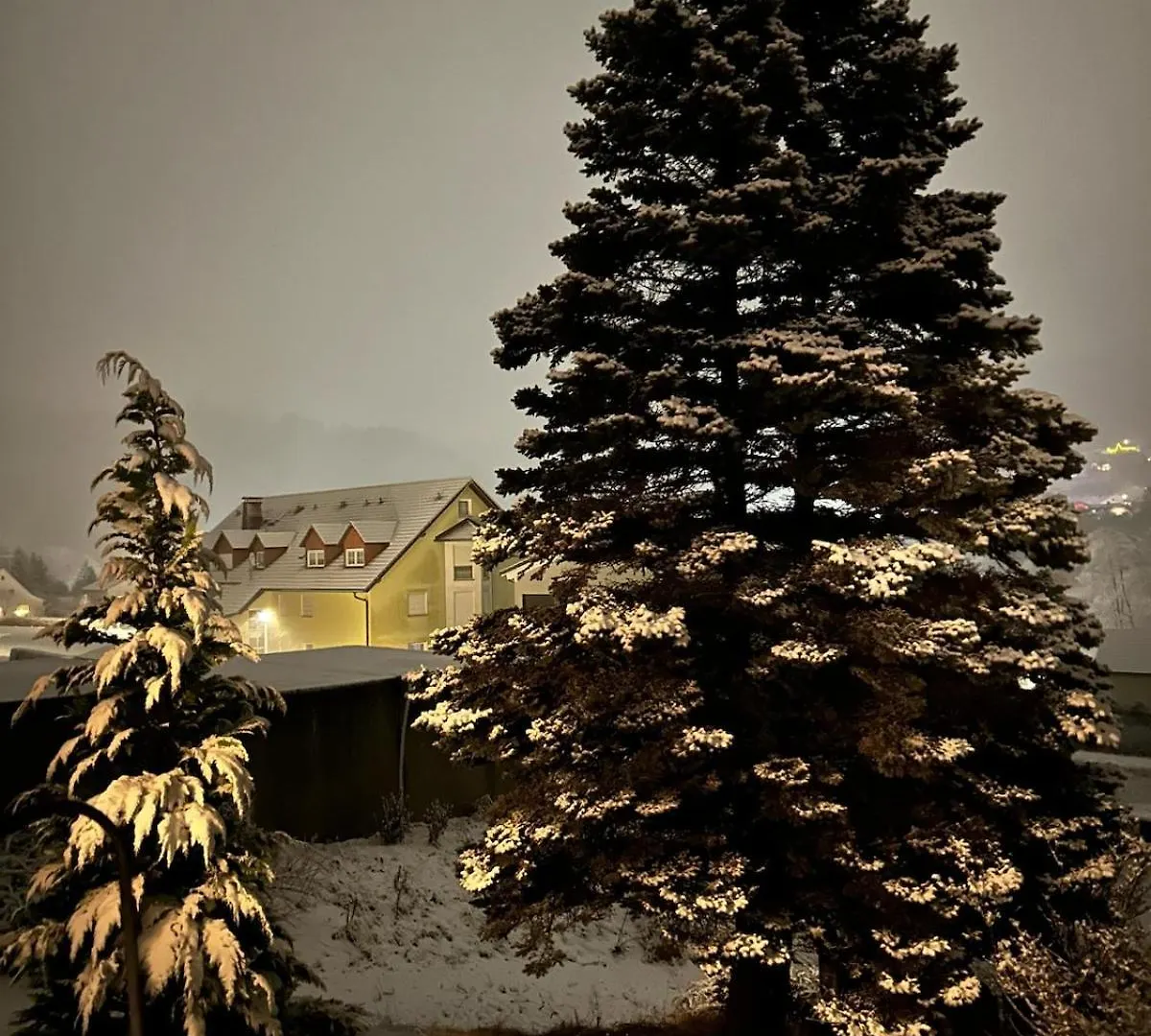 Daire Elsa'S Waldnest-Naehe Fichtelsee Warmensteinach Almanya