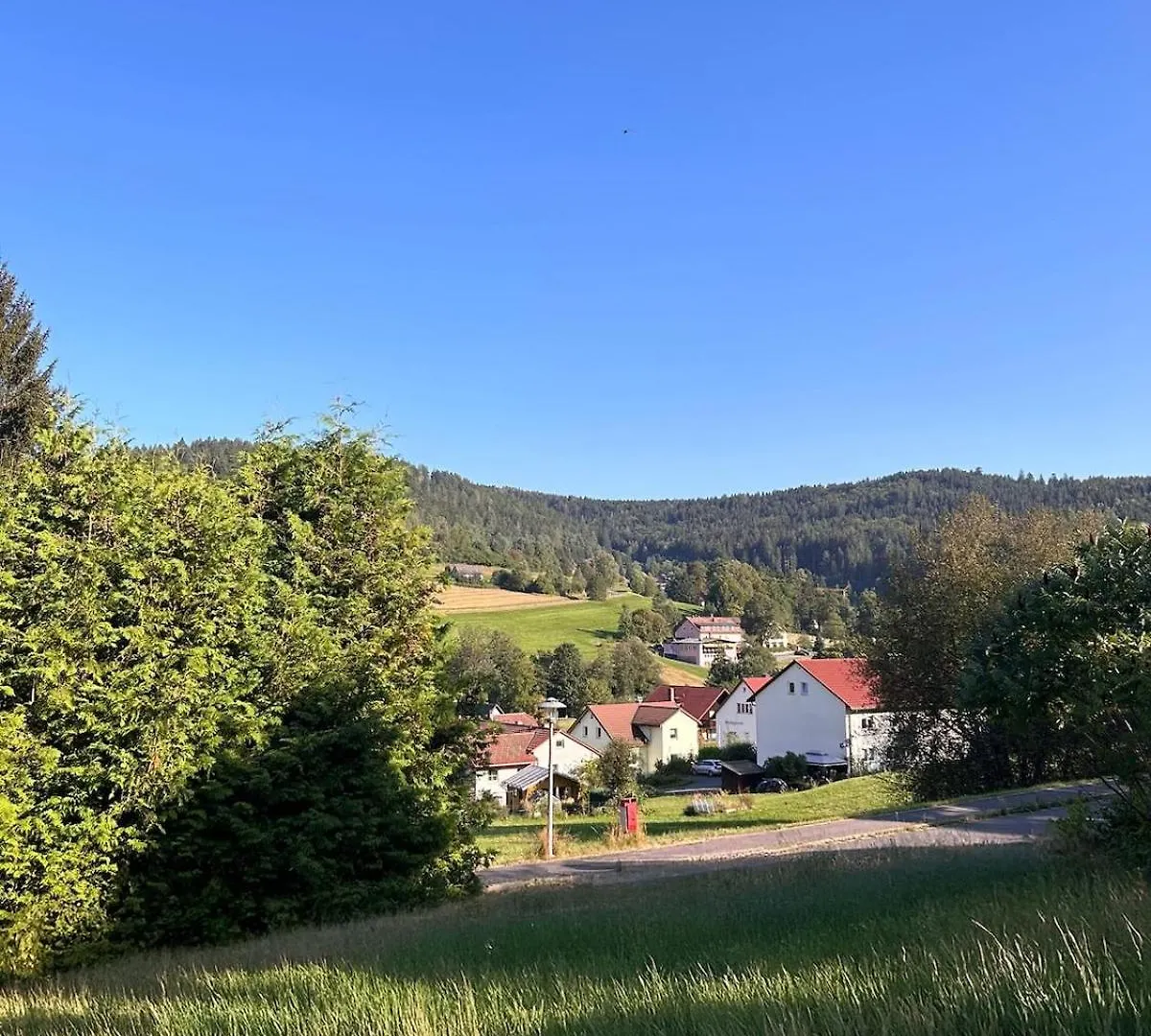 Apartment Elsa'S Waldnest-Naehe Fichtelsee Warmensteinach